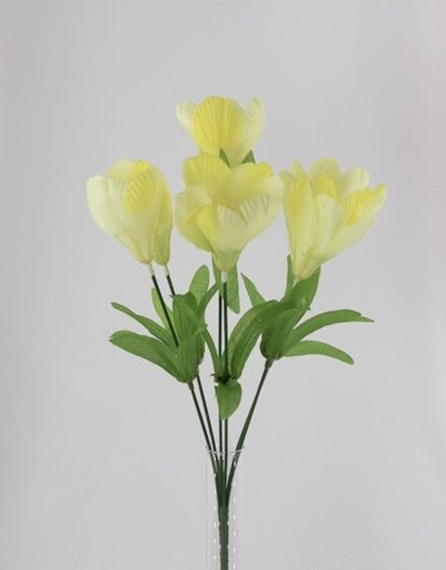 CROCUS BUSH X 6 X 36 CM. YELLOW