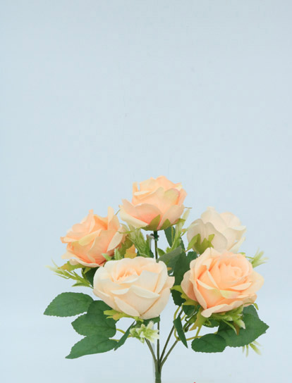 ROSE BUSH X 5FL X 30CM SALMON