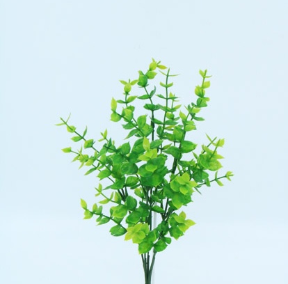 PILEA BUSH X 5 X 33CM. GREEN