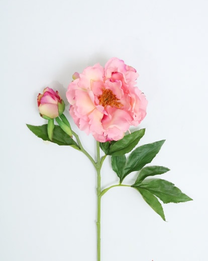 PEONY SPRAY X 2 FL 71 CM (PINK)