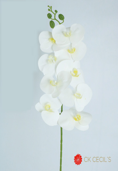 PHALEANOPSIS 94 CM WHITE YELLOW