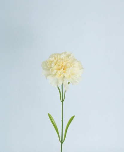 CARNATION SPRAY 60 CM WHITE