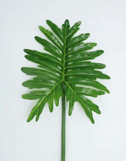 SELLOUM HOJA 91 CM. GREEN