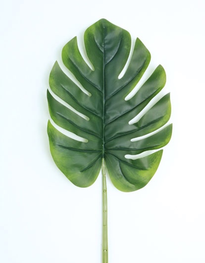 SPLIT PHILO LEAF NT 90 CM