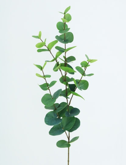 EUCALYPTUS SPRAY 92 CM