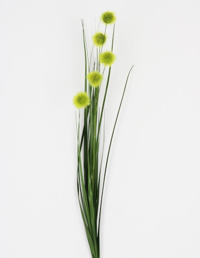 POM POM GRASS 64 CM GREEN