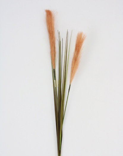 REED GRASS SPRAY 78 CM BROWN