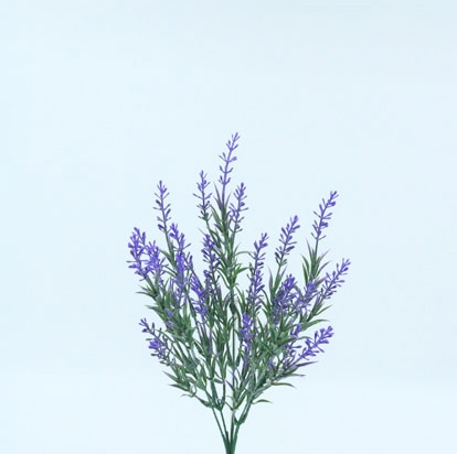 LAVANDA BUSH X 5 38 CM. PURPLE