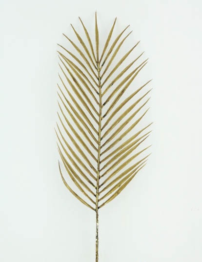 PALM LEAF 71 CM (BROWN)