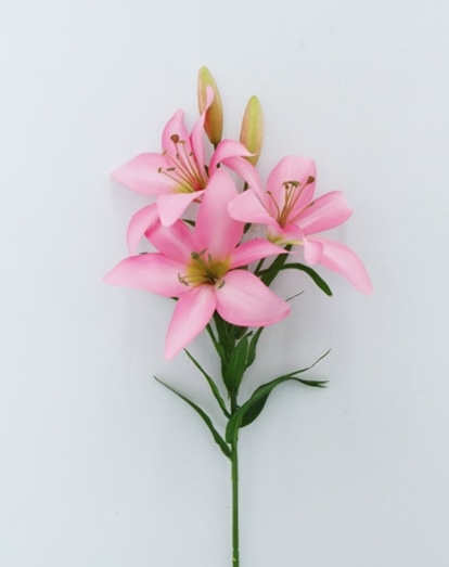 TIGER LILY VARA X 5 73 CM (PINK)