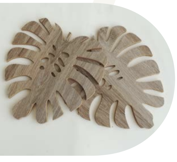 HOJA MONSTERA X 2 20 CM ESTILO DOMINGO