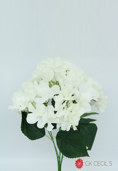 HYDRANGEA BUSH X 48 CM WHITE