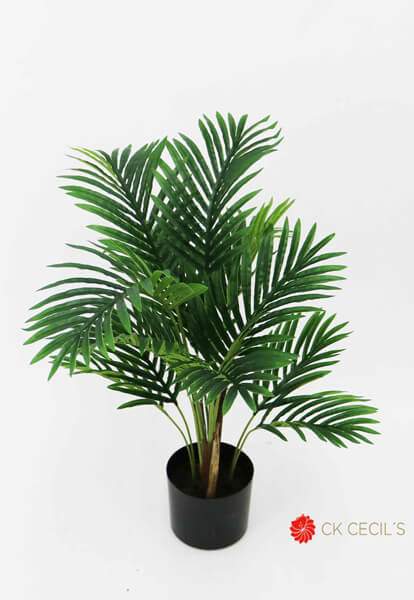 ROCKWOOD HAWAIAN PALM NATX72CM T.T. GREEN