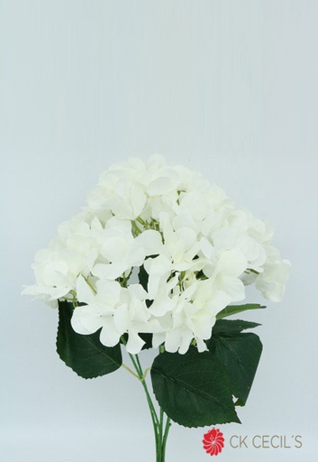 [413464] HYDRANGEA BUSH X 48 CM WHITE