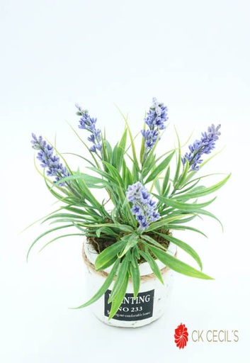 [413405] LAVANDA MC. REDONDA 18X15CM LAVANDA