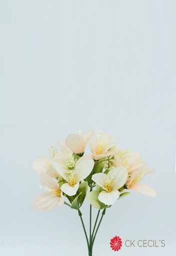 [4130182] ALSTROMERIA X 5 X 30CM SALMON