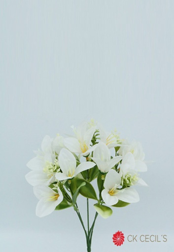 [4130185] ALSTROMERIA X 5 X 30CM WHITE