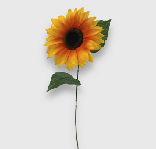 [180244] VARA DE GIRASOL X 1/ 22 DIAM X 60 LARGO