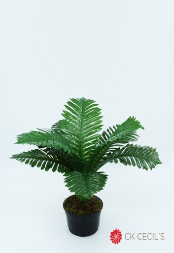 [413530] ARECA MINI X 9 X40CM