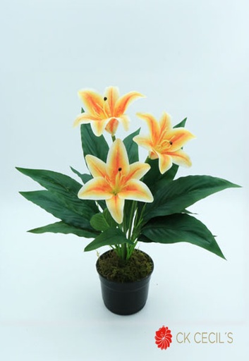 [4130336] LILY BUSH X 7 41 CM. / SALMON