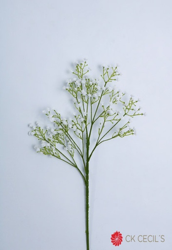 [4130338] GYPSOPHILA BUSH X 5 X 63 CM / WHITE FL54700