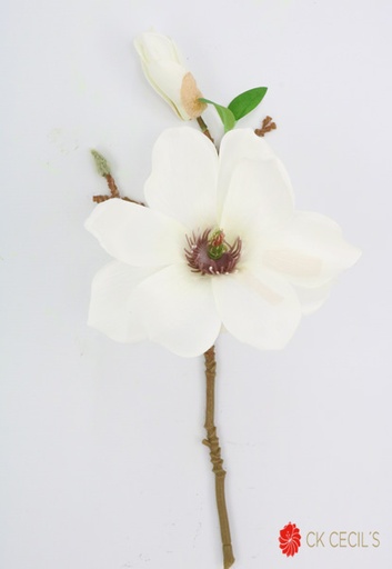 [4130351] MAGNOLIA STEM 36 CM. / WHITE