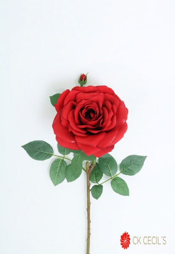[4130354] MADONNA ROSE SPRAY 1FL.1BUD 63 / RED