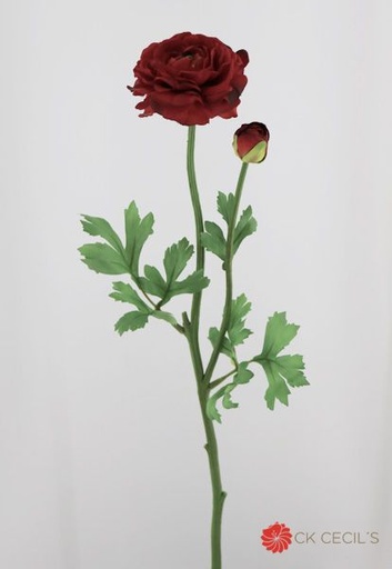 [4130355] RANUNCULUS X 2 X 63 CM (RED)