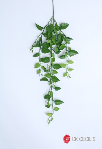 [4130358] AUREUM SPRAY X 92 CM / GREEN RM24134