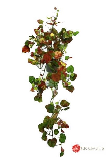 [4130365] CAIDA OTO#AL X 312 HOJAS / POTUS - HIEDRA