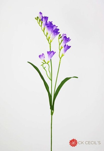 [413323] FREESIA SPRAY X 65CM VIOLETA