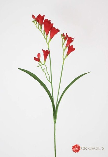 [413324] FREESIA SPRAY X 65CM FLAME