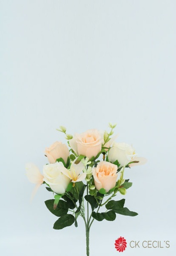 [413299] ROSE BUSH X 5  X30 CM SALMON