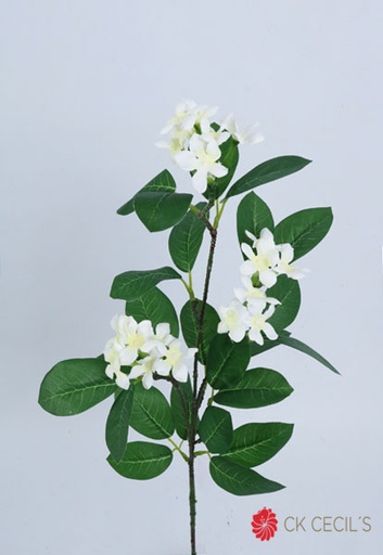 [413332] STEPHANOSIS SPRAY 71 CM CREAM FS22684