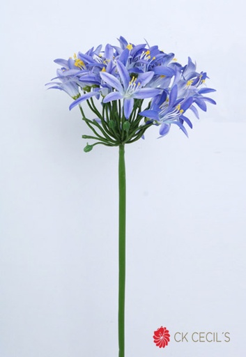 [413337] AGAPANTHUS STEM 80 CM PURPLE FSG0040