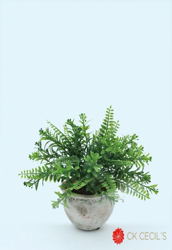 [413578] ANT. VASIJA C/HELECHO MIX19X25 GREEN PINK