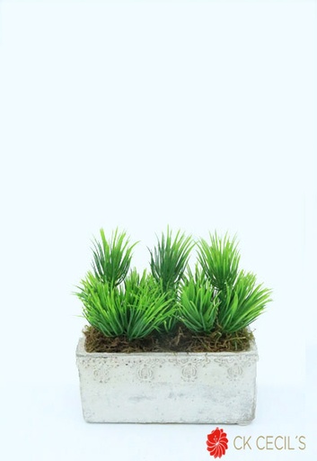 [413580] ANT. RECTANGULAR C/ PINO 15X16 GREEN