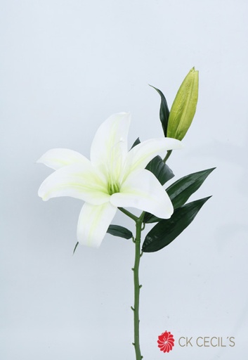 [413333] CASA BLANCA SPRAY 68CM WHITE FS26090