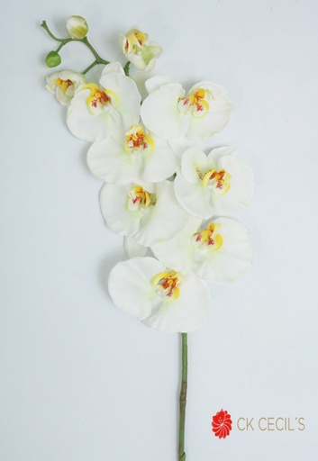 [413318] PHALEANOPSIS SPRAY X 9FL 96CM WHITE YELLOW