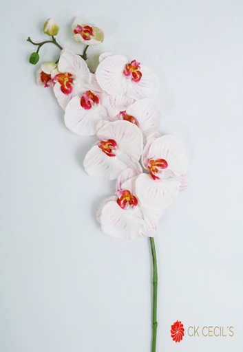 [413319] PHALEANOPSIS SPRAY X 9FL 96CM WHITE PINK