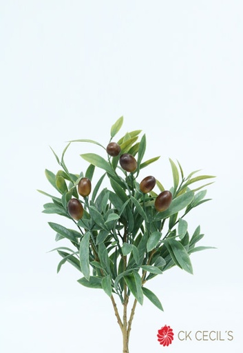 [413344] OLIVE X 3 BUSH X 38 CM GREEN RM24294