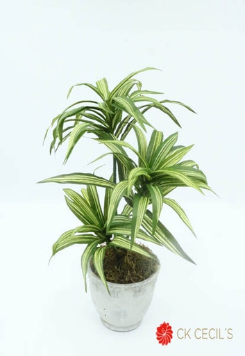 [4130390] ANT. REDONDA GDE. C/YUCCA 45CM GREEN