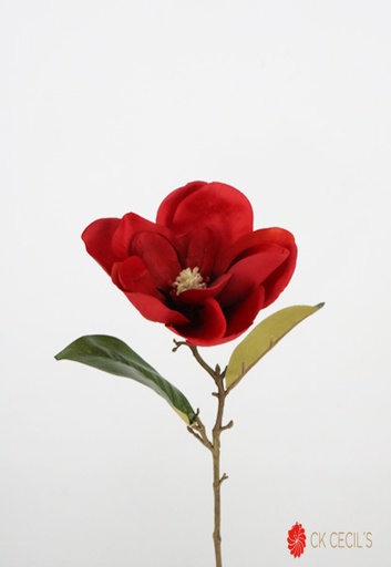 [4130409] MAGNOLIA STEM 43 CM. RED
