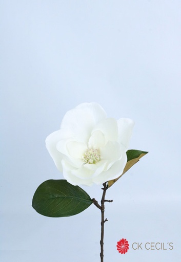 [4130410] MAGNOLIA STEM 43 CM. WHITE