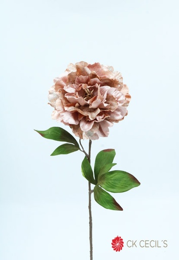[4130412] VELVET PEONY SPRAY X 66 CM. LT. CHAMPAGNE