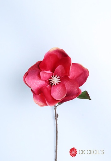 [4130413] MARBLE MAGNOLIA SPRAY X 74 CM. PINK