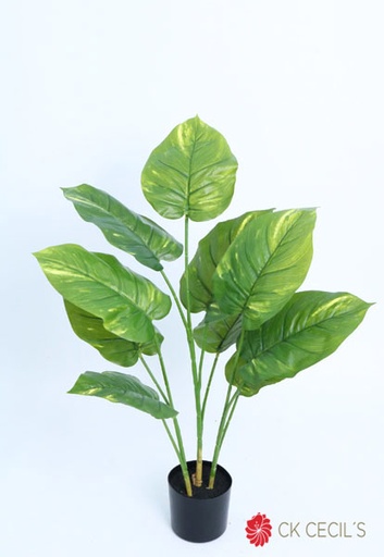 [4130452] PHOTOS PLANT NAT X 76 CM. GREEN
