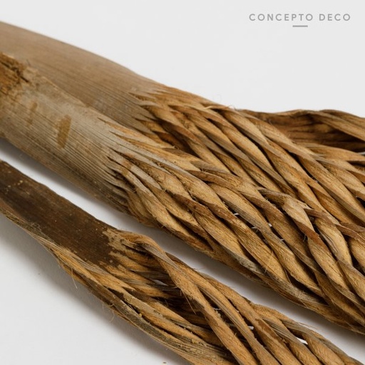 [165773] FLORES SECAS BOUQUET COCO SPIRAL 57CM