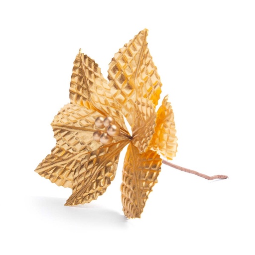 [131204] XIN ESTRELLA FEDERAL DORADA 22 CM