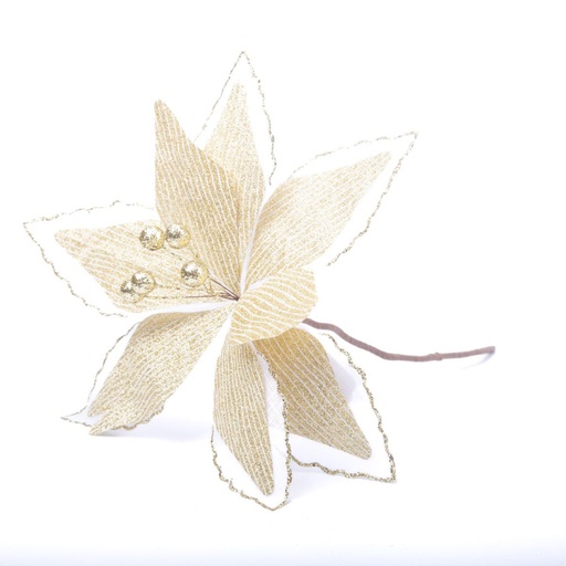 [131202] XIN ESTRELLA FEDERAL DORADA 25 CM